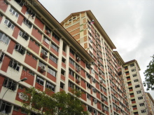 Blk 223 Bishan Street 23 (Bishan), HDB Executive #384232
